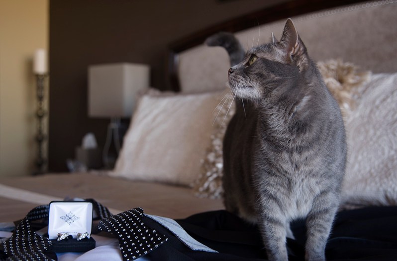 Wedding Details photography. ©Alina Oswald All Rights Reserved.