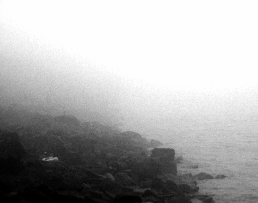 Fog over Mississippi, NOLA. Photo by Alina Oswald.