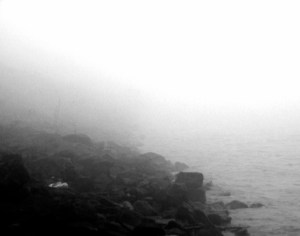 Fog over Mississippi, NOLA. Photo by Alina Oswald.