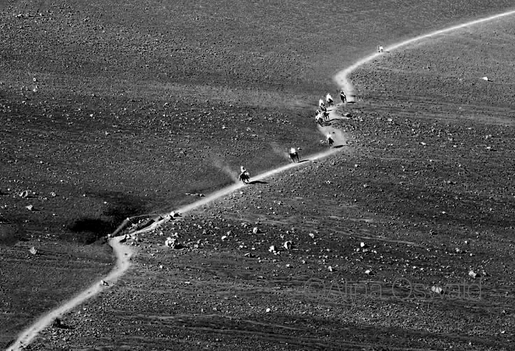 Zigzagging Through Life