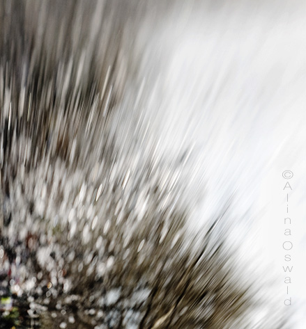 TulipsWaterdropsLensbabyPhotography_3c_LR