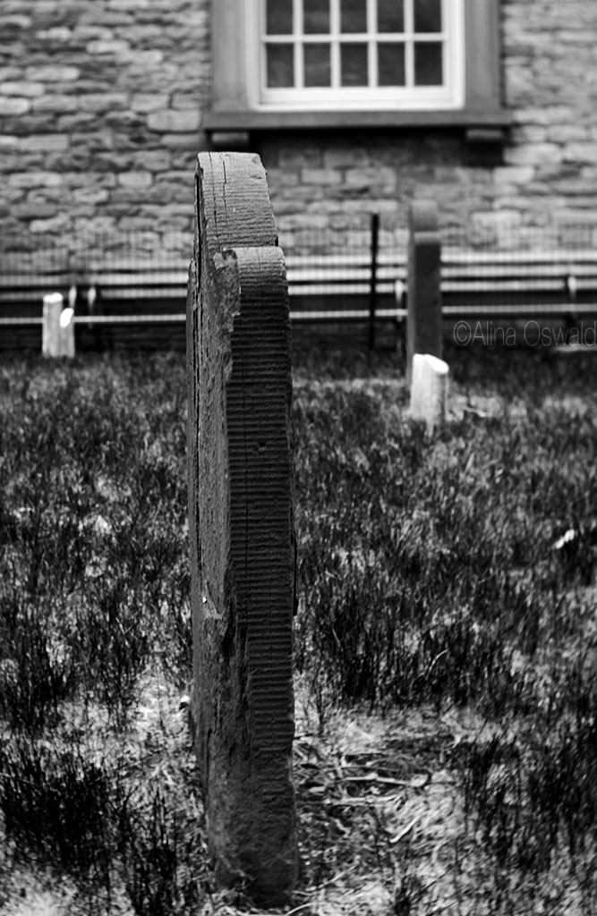 Velvet Forever Bed. Lensbaby Velvet Photography by Alina Oswald.