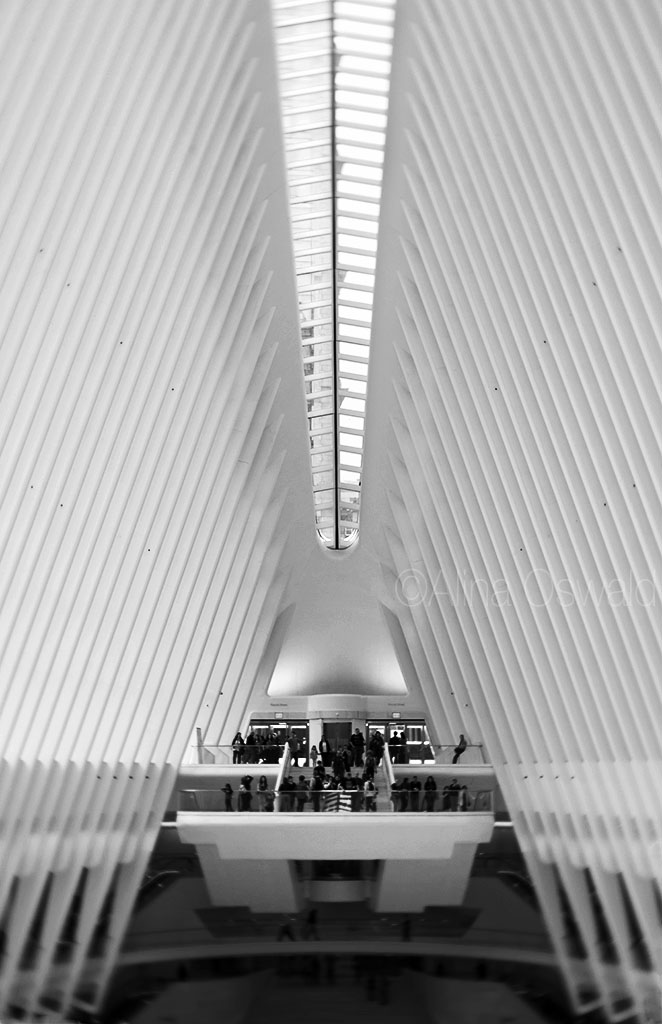 The Oculus in velvet b&w. Lensbaby Velvet Photography by Alina Oswald.