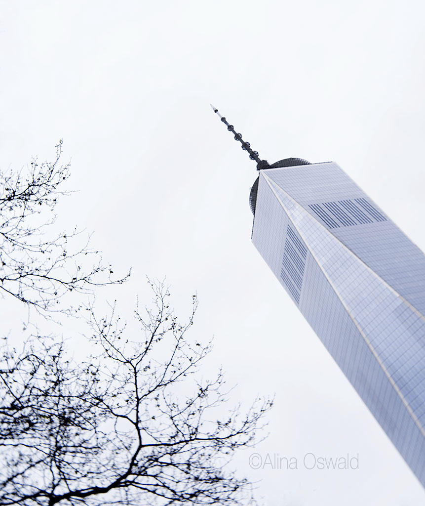 Direction. Freedom Tower and the Tree. Lensbaby Velvet Photography by Alina Oswald. All Rights Reserved.