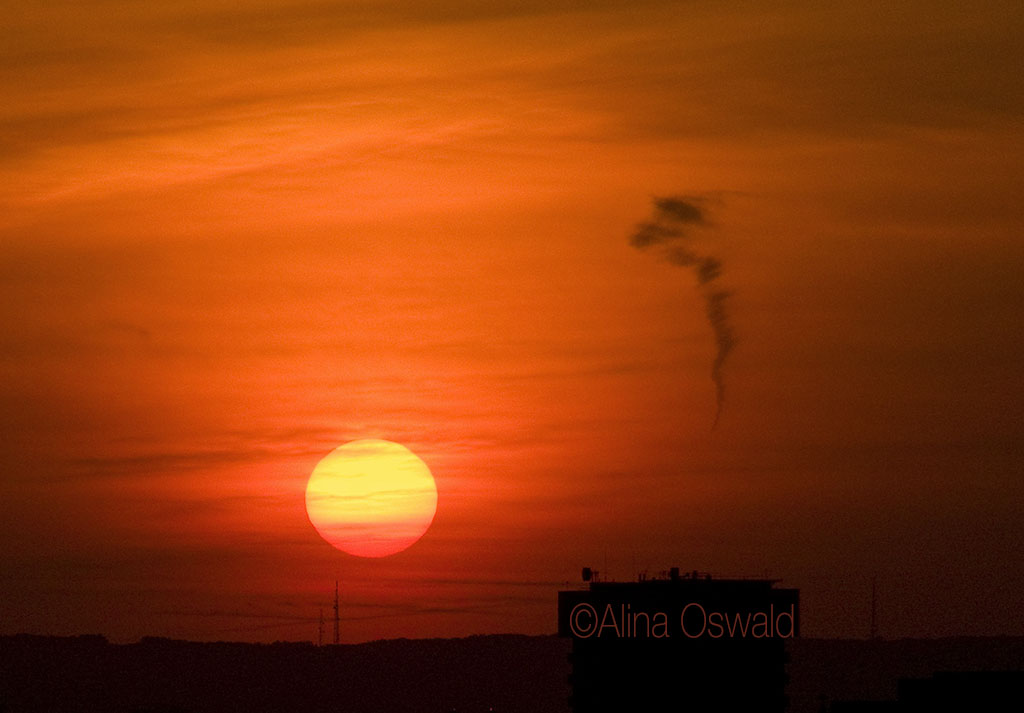 SunsetConversationsInGardenState_AO_LR