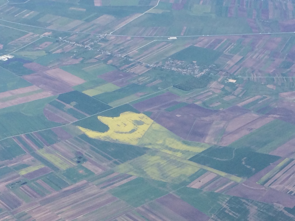 Romanian Fields from the Air. Photo by Alina Oswald.