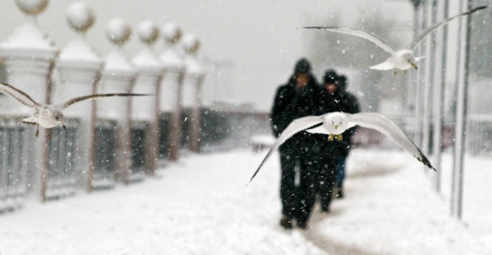 Photographing Winter