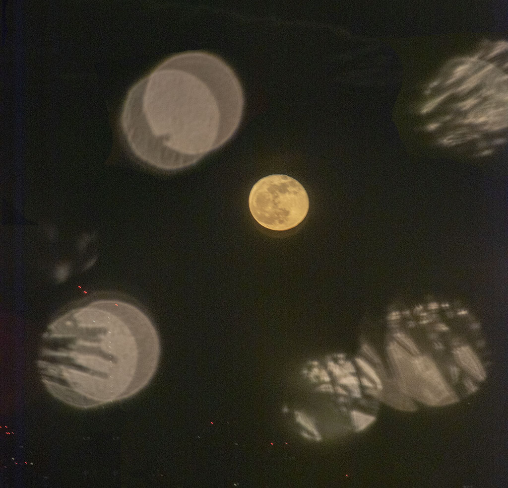 The moon through Christmas lights deco, 2018. Photo by Alina Oswald.