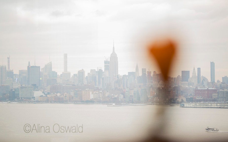 Crystal art piece photographed with a Sigma 105mm f/1.4 @ f/1.4, focus on the background. Photo by Alina Oswald.

