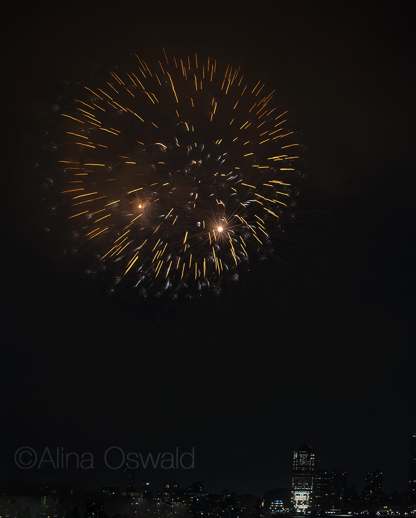 4th of July 2018 Fireworks. Photo by Alina Oswald.