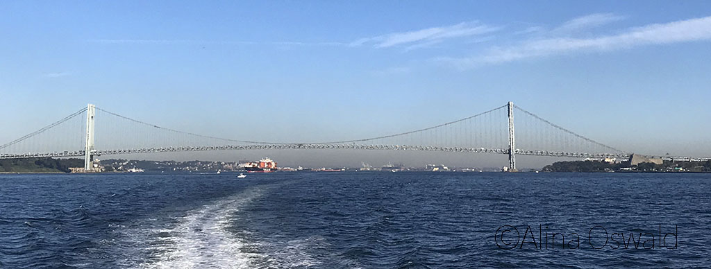 Passing under Verrazano Bridge, crossing into NY Harbor. Photo by Alina Oswald.