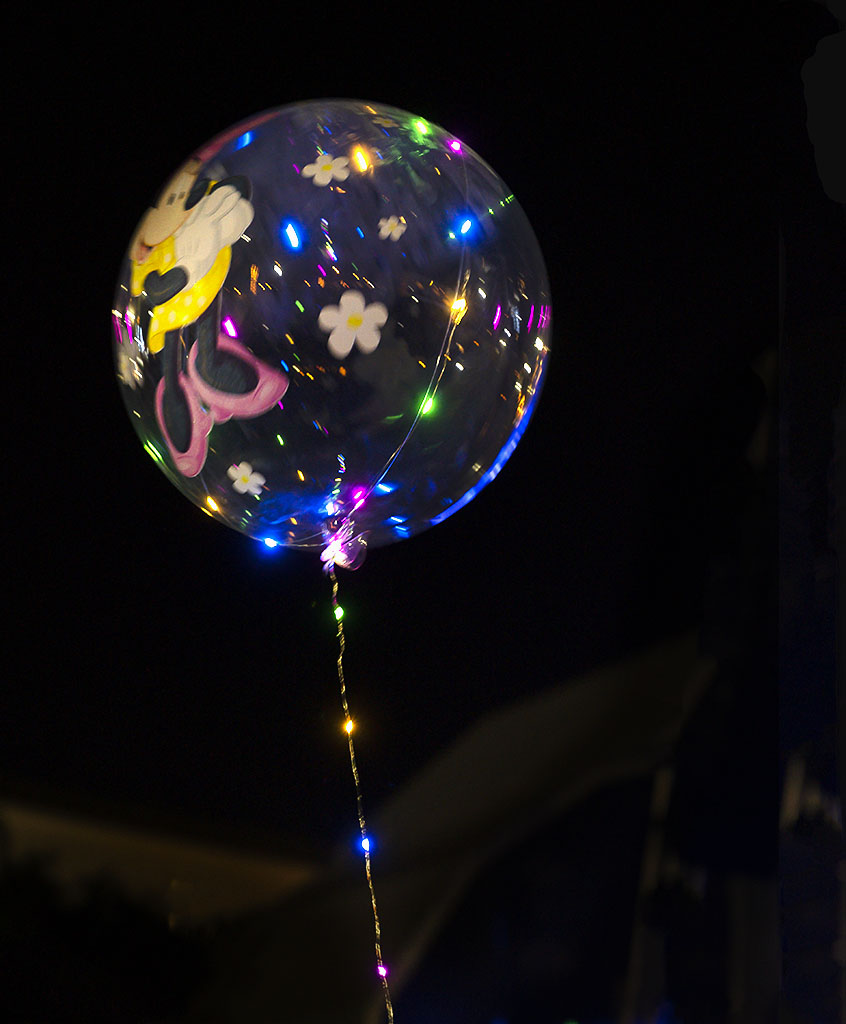 2020 New Year's fireworks celebrations. Photo by Alina Oswald. All Rights Reserved.