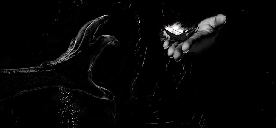 Hands - Self-Portraits in Black-and-White. Photo by Alina Oswald. All Rights Reserved.