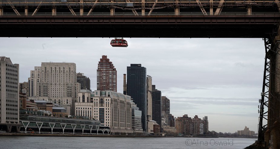 Views of NYC and Roosevelt Island gondola from Roosevelt Island, NYC. Photo by Alina Oswald.