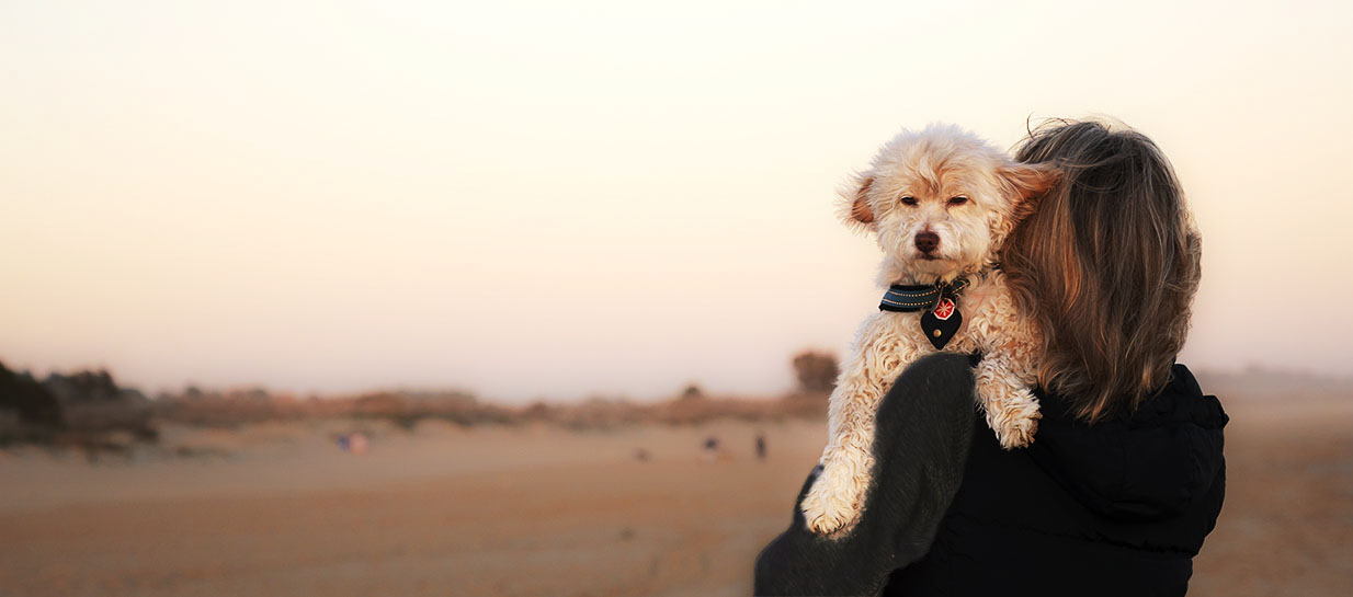 Dog-Walking on the beach. Photo ©Alina Oswald.