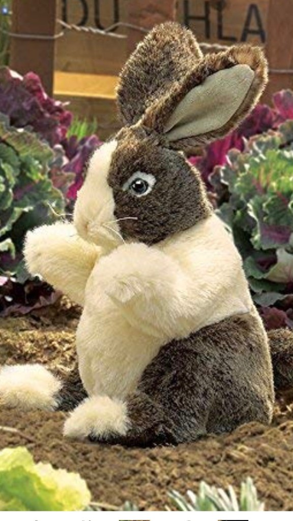 Puppetonia Show. Symposia Bookstore. www.symposia.us