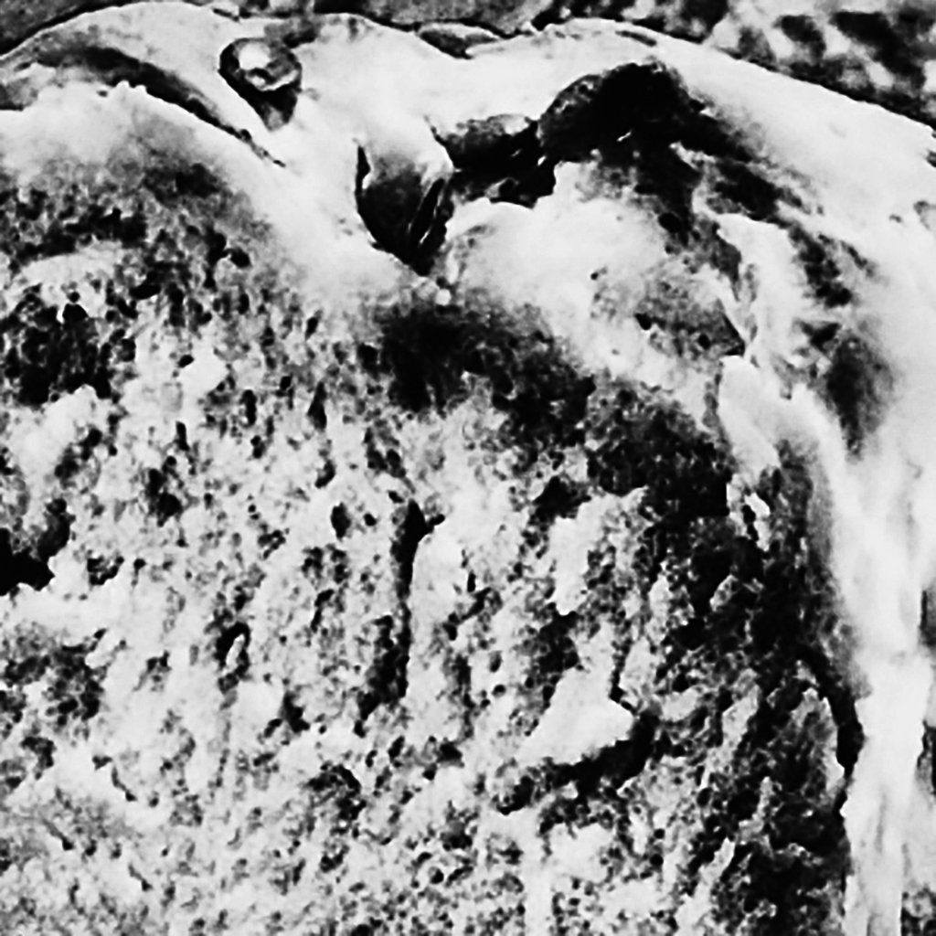 Bread. ©Alina Oswald. All Rights Reserved.