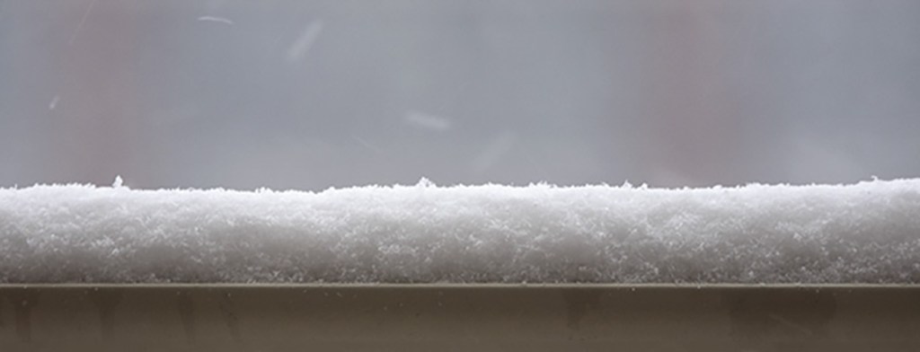 NYC area blizzard on February 1, 2021. ©Alina Oswald.