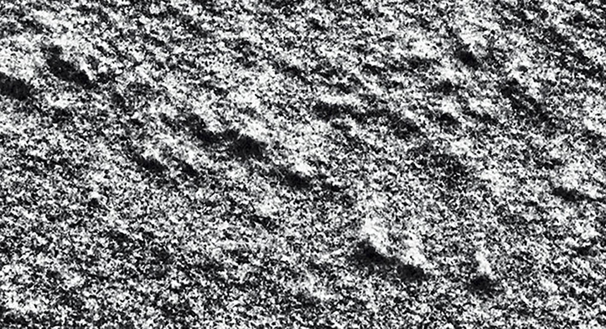 Snow texture. ©Alina Oswald. All Rights Reserved.