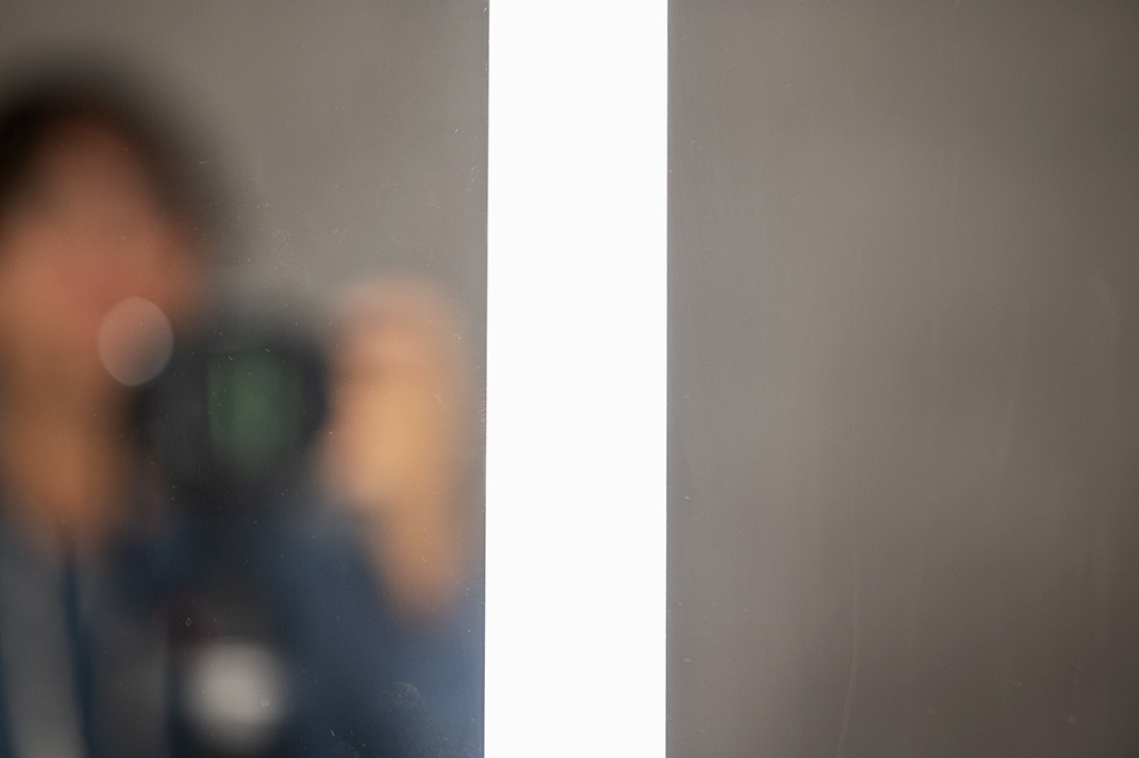 Nikon Z 85mm f/1.8 DOF test shoot. ©Alina Oswald. All Rights Reserved.