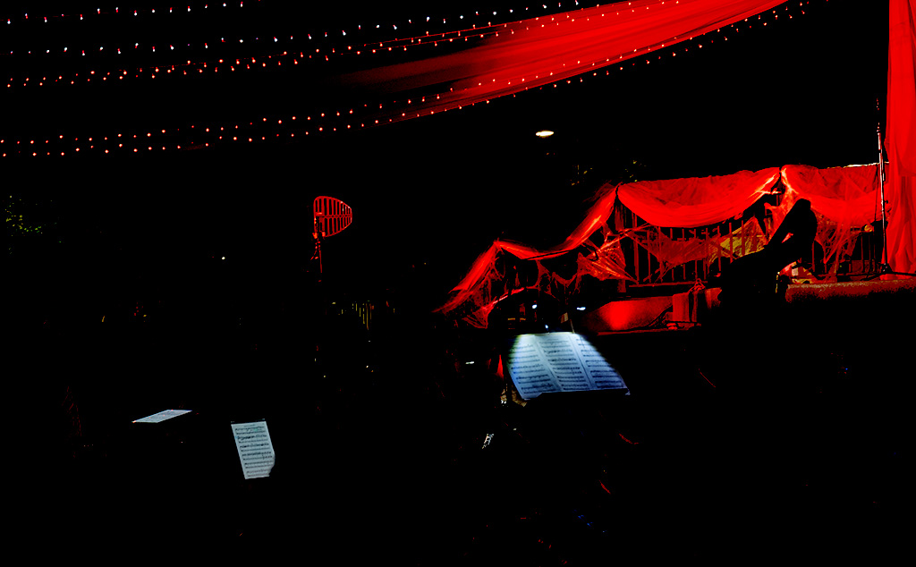 "A Night at the Opera" ©Alina Oswald.