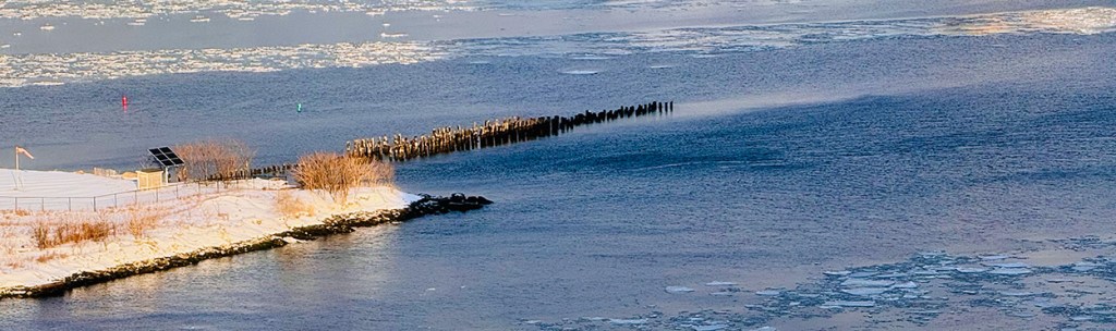NYC snow storm ©Alina Oswald.