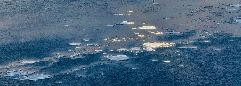 NYC snow storm ©Alina Oswald.