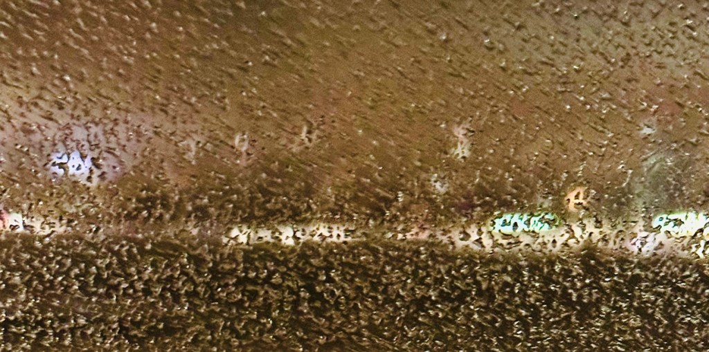 NYC snow storm ©Alina Oswald.